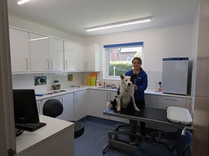 Small Animal Consultation Room